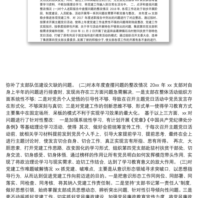 支部书记个人党建工作履行职责情况汇报