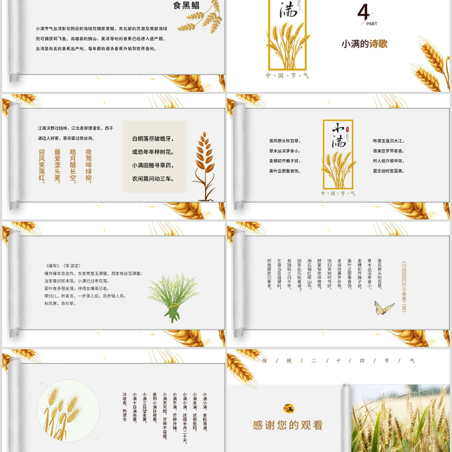简约风麦穗中国二十四节气小满介绍PPT模板
