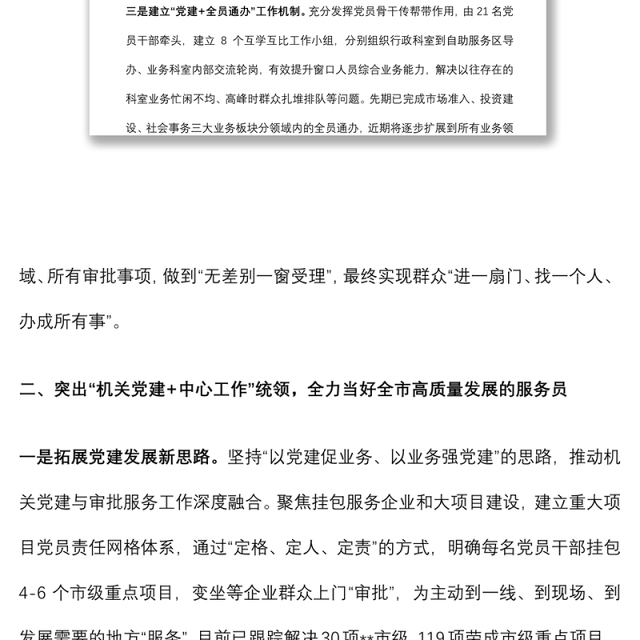市行政审批局创新“党建+”模式 提升服务高质量发展效能特色党建交流发言