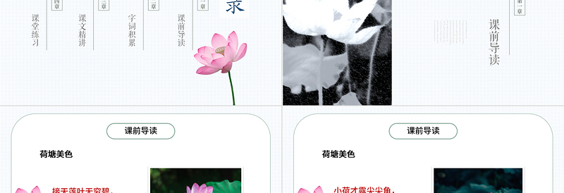 2022荷花PPT第3课小学三年级语文下册部编人教版教学课件