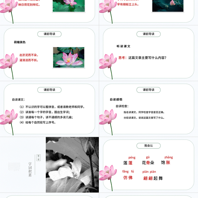 2022荷花PPT第3课小学三年级语文下册部编人教版教学课件