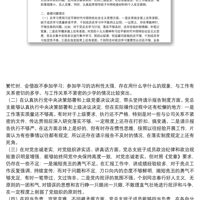 民主生活会和民主评议党员整改报告
