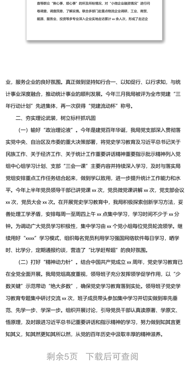 统计局党支部20xx年上半年党建工作总结(市级)