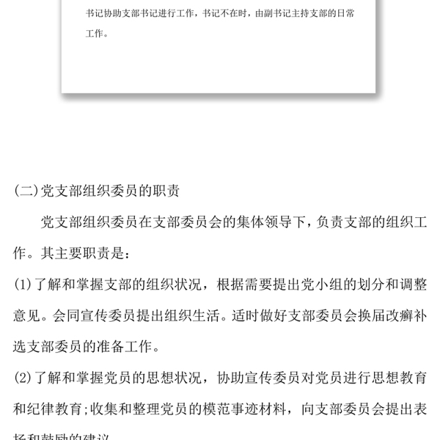 党支部委员工作分工党委党支部工作计划