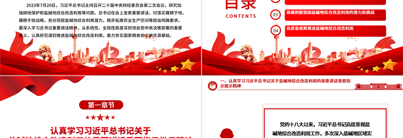 2023积极推进盐碱地综合改造利用ppt红色简洁风着力夯实国家粮食安全的资源基础党组织党支部专题党课教育课件