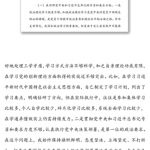 政府机关党支部书记2021年度组织生活会检查发言材料(四个对照)