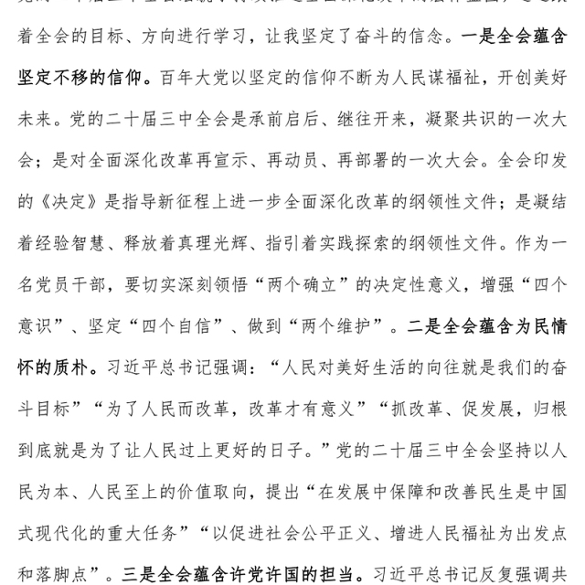 学习党的二十届三中全会心得体会