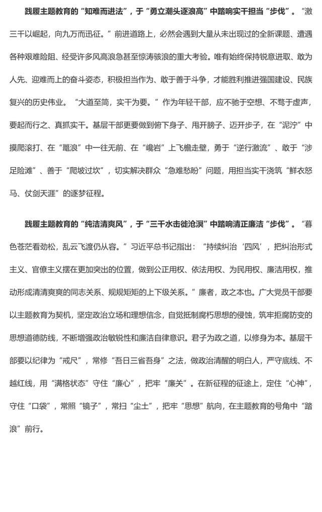 吹响“主题教育”号角 肩鸿任钜“踏浪”前行(主题教育心得体会)