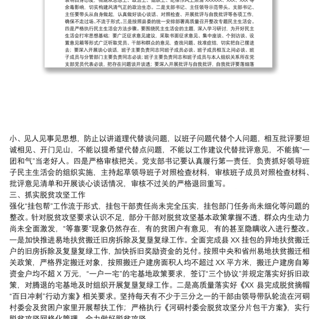 巡视整改专题民主生活会整改方案落实情况报告参考范文