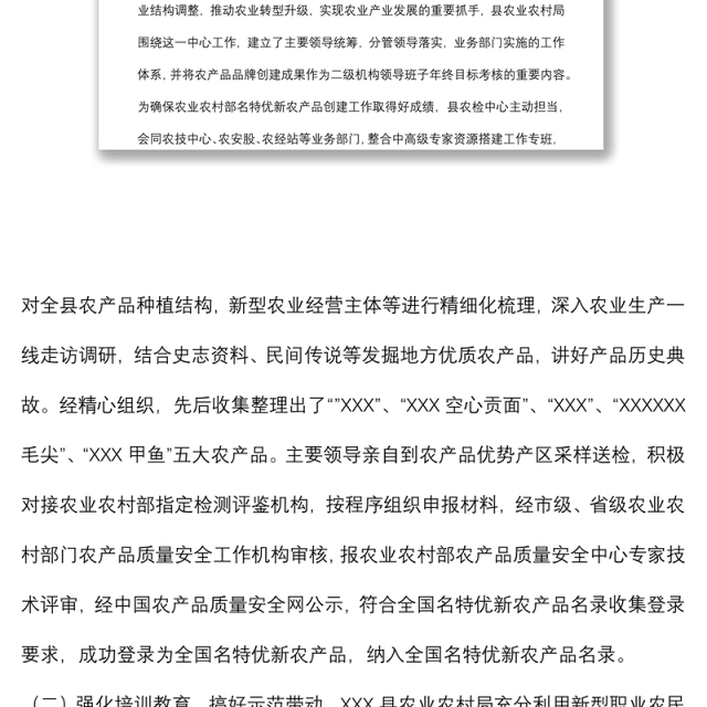 X县名特优新农产品创建典型案例