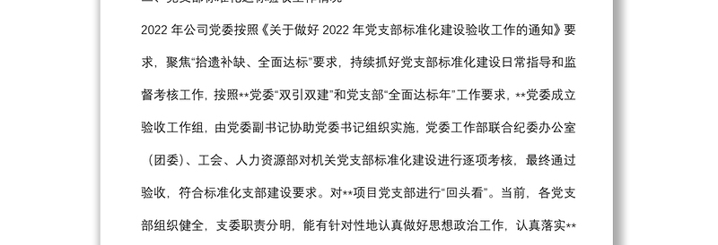 公司2022年党支部标准化建设工作总结