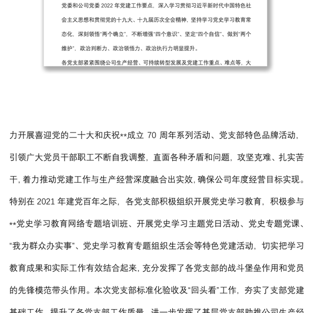 公司2022年党支部标准化建设工作总结