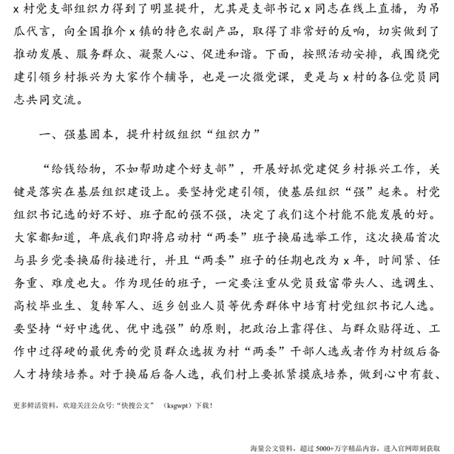 乡村振兴主题党日活动党课讲稿