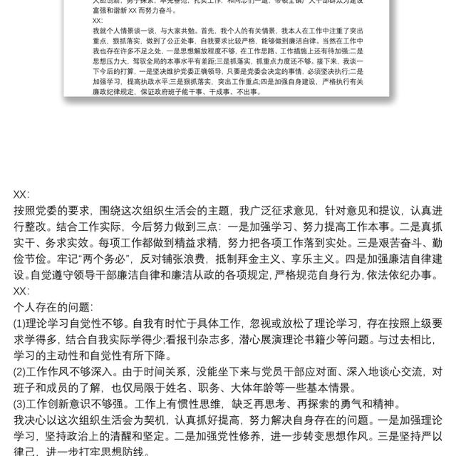 XXX党支部支委会会议记录 3篇