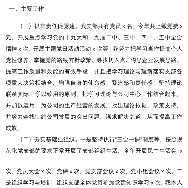 2020年公司党支部书记述职报告范文