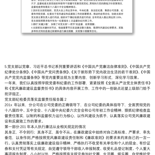 党支部纪检委员落实监督责任报告6篇