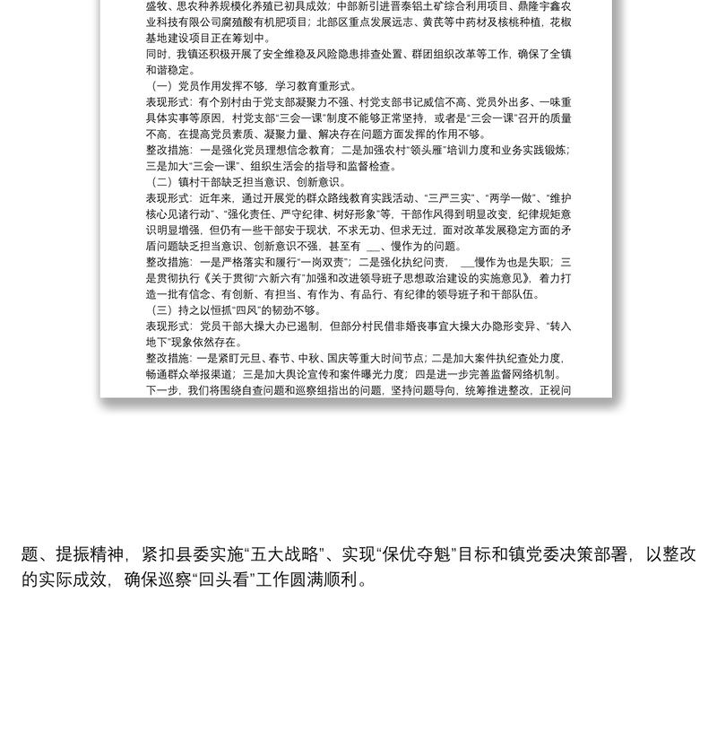 2020年巡察“回头看”工作专题汇报材料