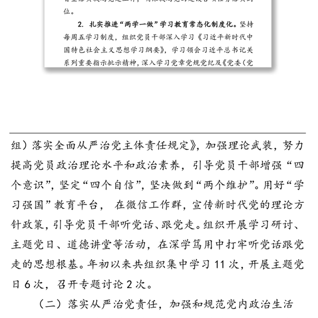 履行全面从严治党主体责任报告