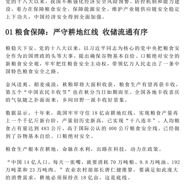 2022十年织密织牢经济安全网有力支撑中国高质量发展PPT大气党政风以实际行动迎接党的二十大专题党课党建课件(讲稿)