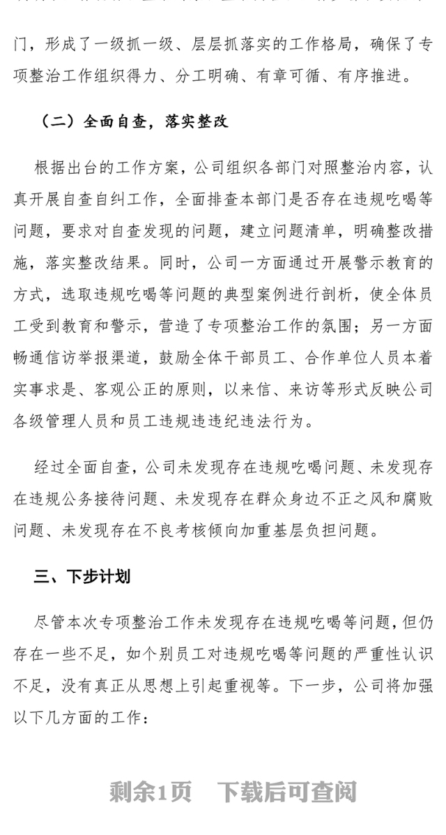 2025年开展违规吃喝等问题专项整治工作总结PPT模板下载(讲稿)