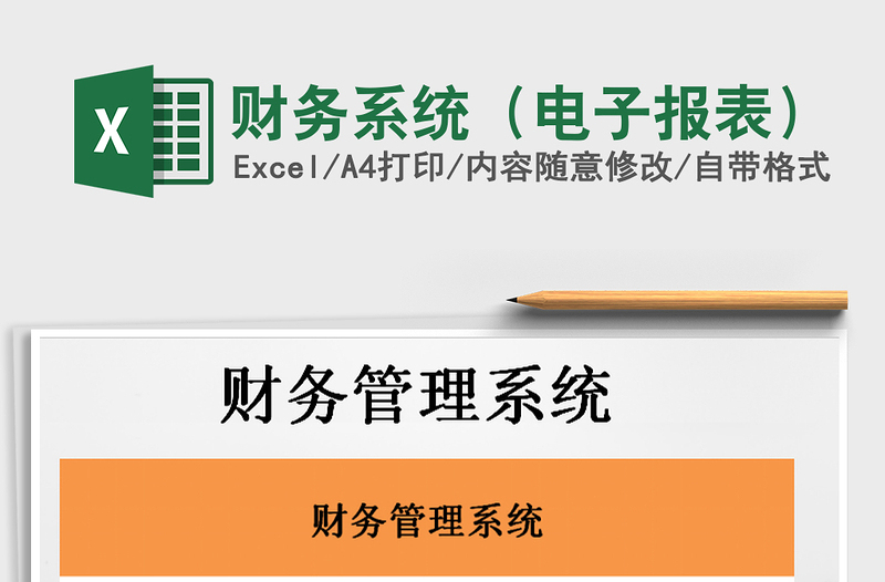 2021年财务系统(电子报表)