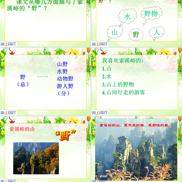 2022《索溪峪的“野”》PPT清新创意语文教学课件