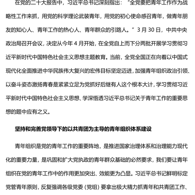2023加强青年组织政治引领以奋斗姿态激扬青春PPT大气精美风党员干部学习教育专题党课课件(讲稿)