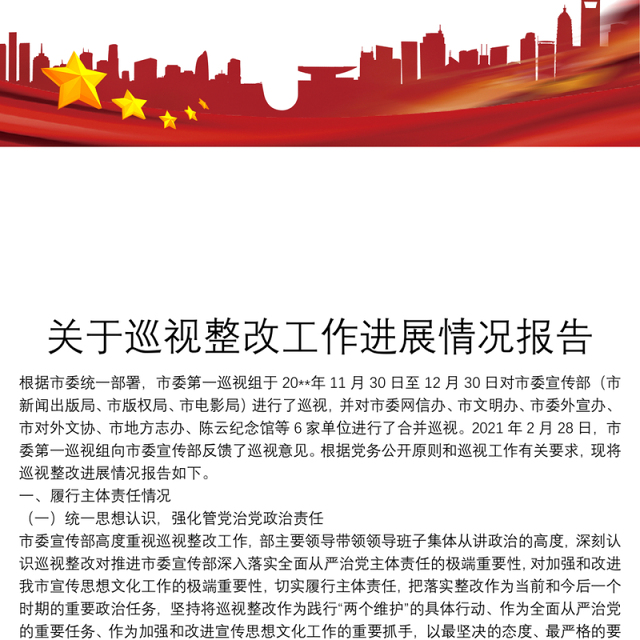 关于巡视整改工作进展情况报告