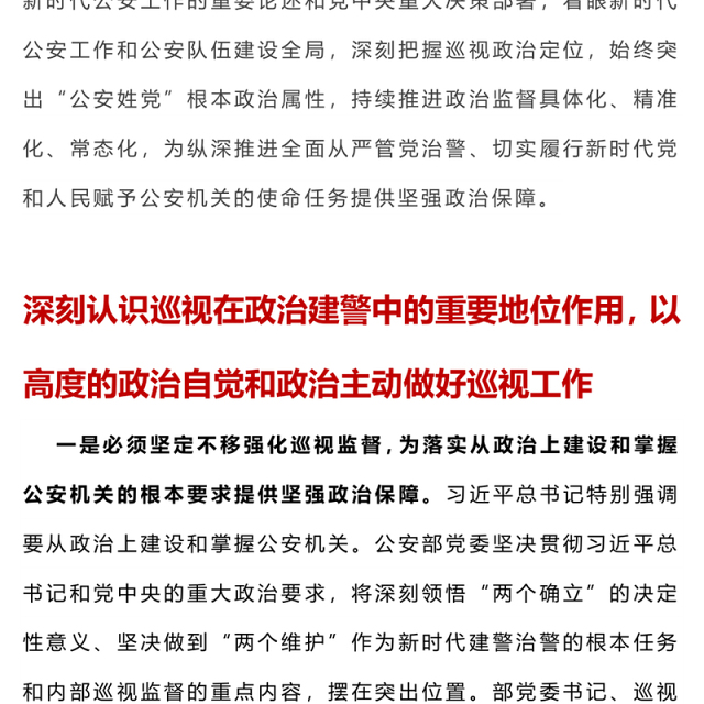 2023坚定不移深化政治巡视为全面从严管党治警提供强有力支撑公安系统党课PPT(讲稿)