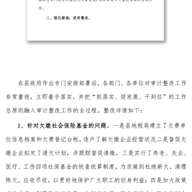 (3篇)财务审计整改报告