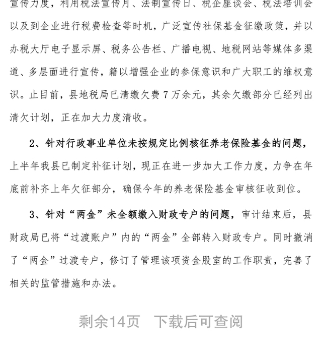 (3篇)财务审计整改报告