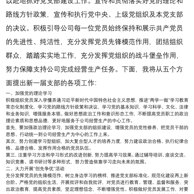 新当选的公司党支部书记表态发言