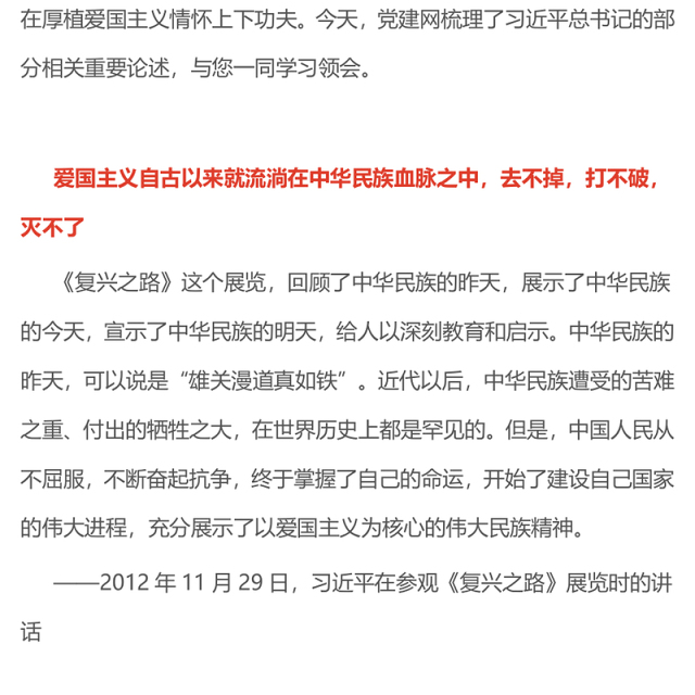 党建风爱国主义是我们民族精神的核心PPT总书记重要论述课件(讲稿)