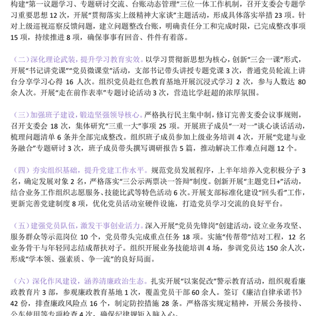 精美大气党支部2025年上半年党建工作总结PPT模板下载(讲稿)