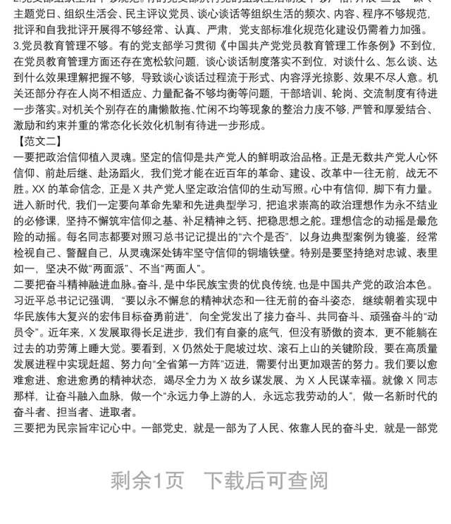 各党支部检视整改主题教育清单