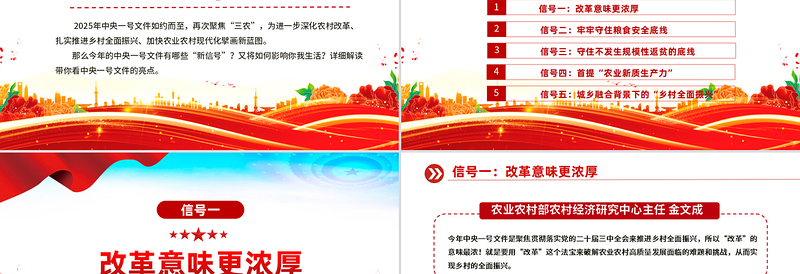 2025中央一号文件释放了哪些新信号PPT党课课件