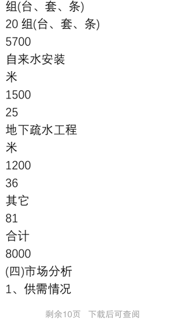 简单可行性报告模板