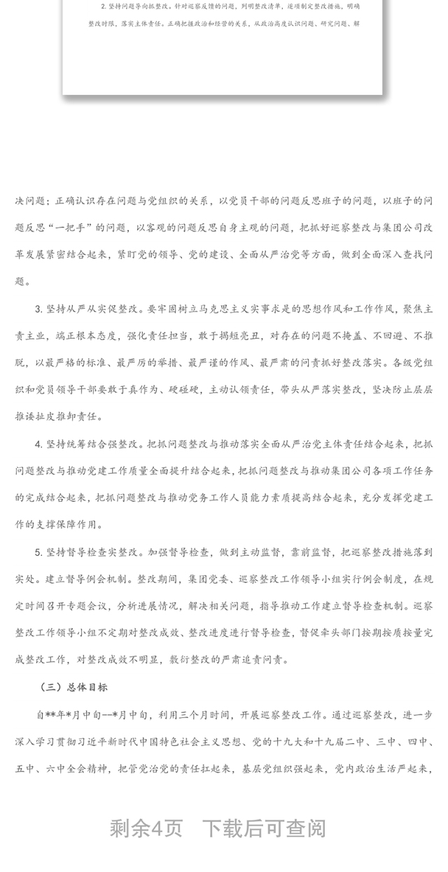 某国有企业落实巡察整改工作方案