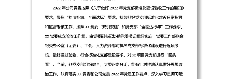 x公司2022年党支部标准化建设工作总结