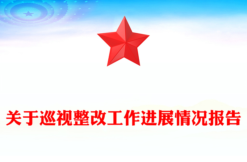 关于巡视整改工作进展情况报告