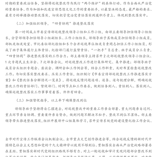 关于巡视整改工作进展情况报告