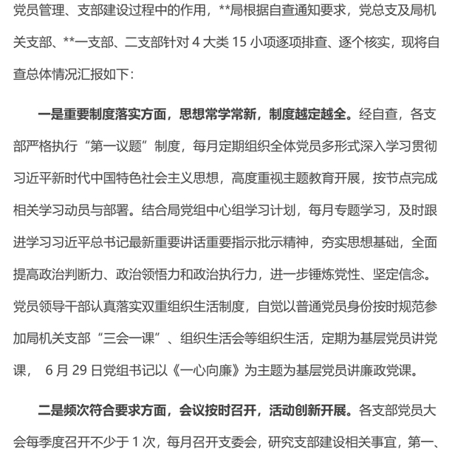 党支部2023年组织生活落实情况自查报告PPT模板(讲稿)