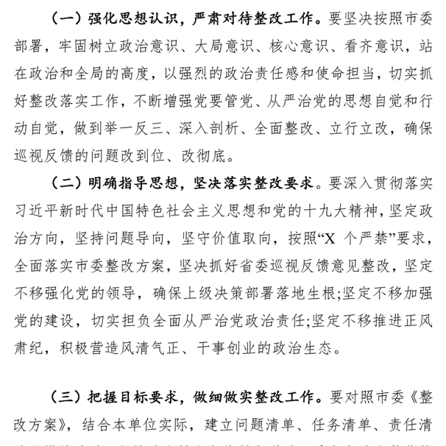 巡视整改工作方案