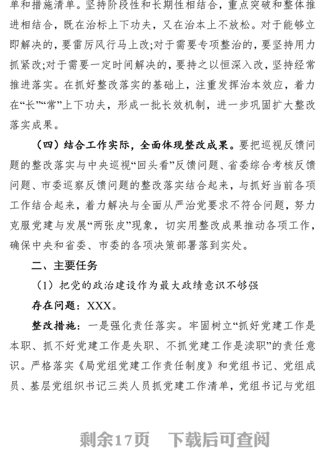 巡视整改工作方案