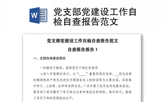 2023党支部党建检查总结发言
