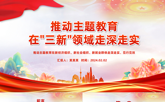红色简洁三新领域主题教育经验做法PPT党课