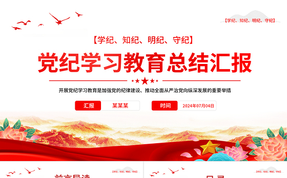 党纪学习教育总结汇报PPT精美创意2024年党政部门工作总结模板