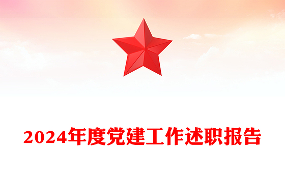 2024年度党建工作述职报告