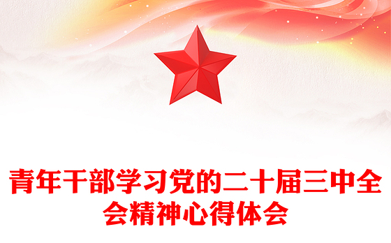 青年干部学习党的二十届三中全会精神心得体会