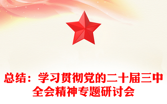 总结:学习贯彻党的二十届三中全会精神专题研讨会